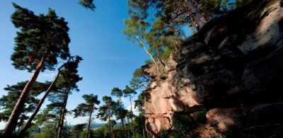 Heidenfelsen von der Sonne angestrahlt bei blauem Himmel mit weitlaufendem Blick über den umliegenden Wald