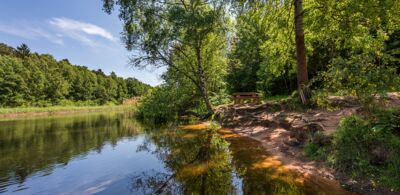 Wasseroberfläche eines Sees, der den grünen Wald und die Bank im Hintergrund spiegelt